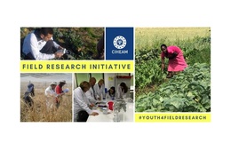 Thumb ciheam field research initiative banniere2