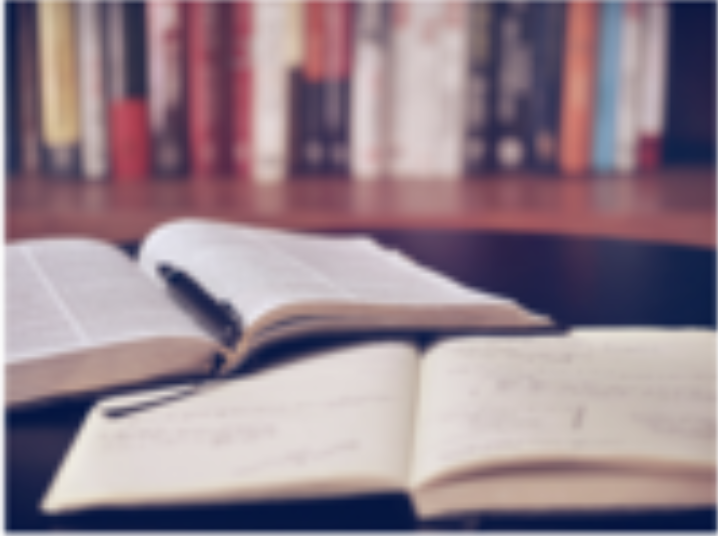 INVESTMENT IN HUMAN CAPITAL AND KNOWLEDGE MOBILITY