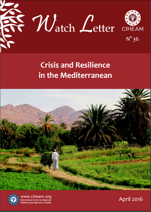 WL36 Crisis and Resilience in the Mediterranean