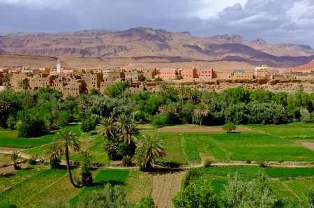 Initiative for dry land agri-food systems
