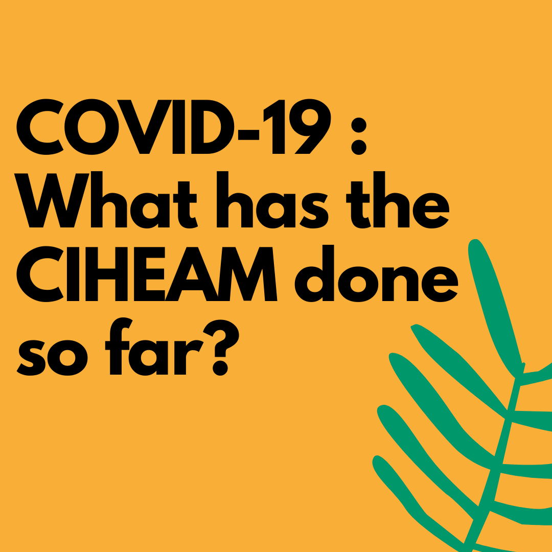 COVID-19: What has the CIHEAM done so far?
