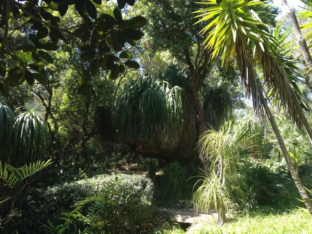 CIHEAM’s Contribution to Agrobiodiversity