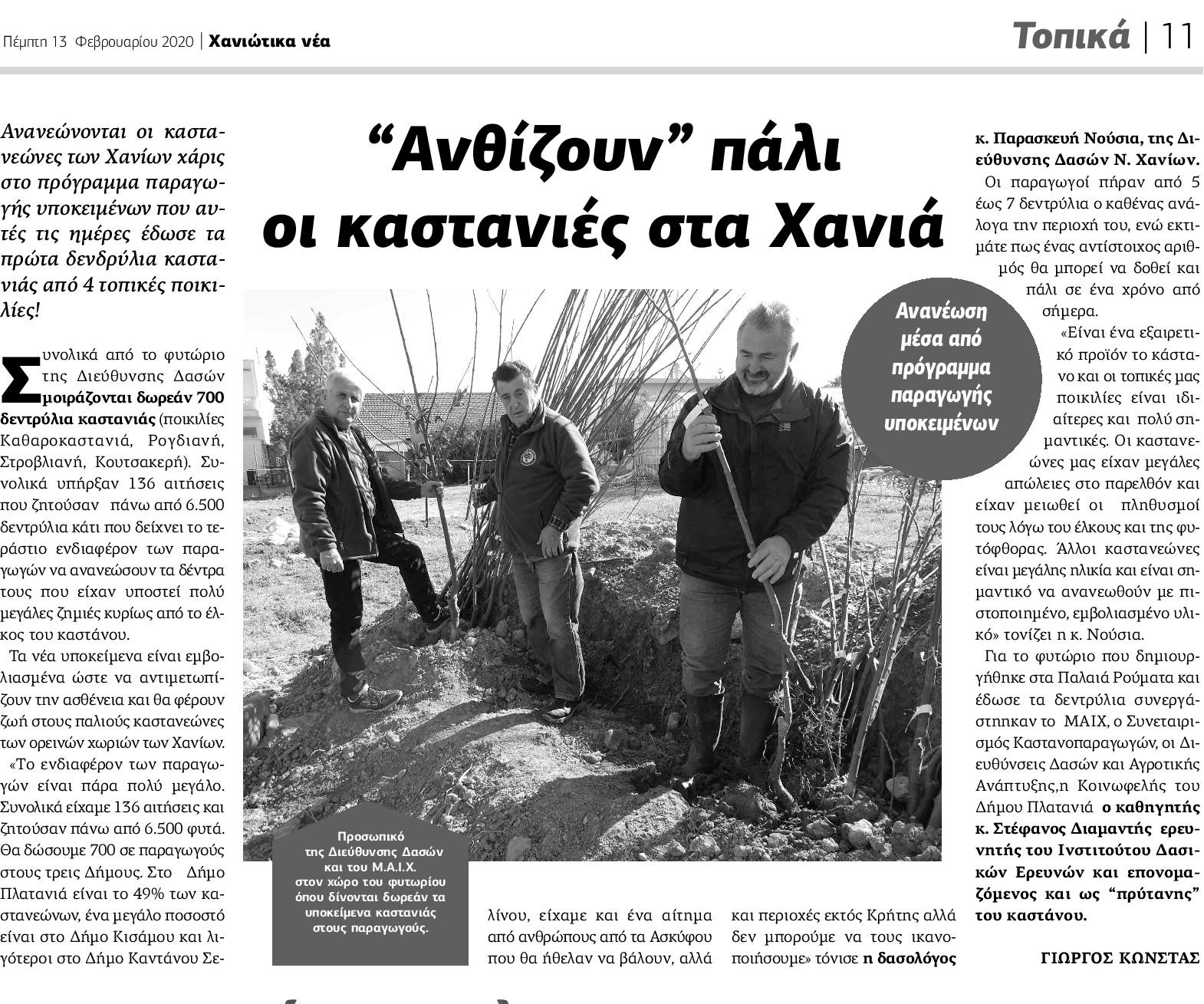 Rejuvenation of local varieties of chestnut trees