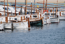 CIHEAM Chania involved in Blue Economy initiatives