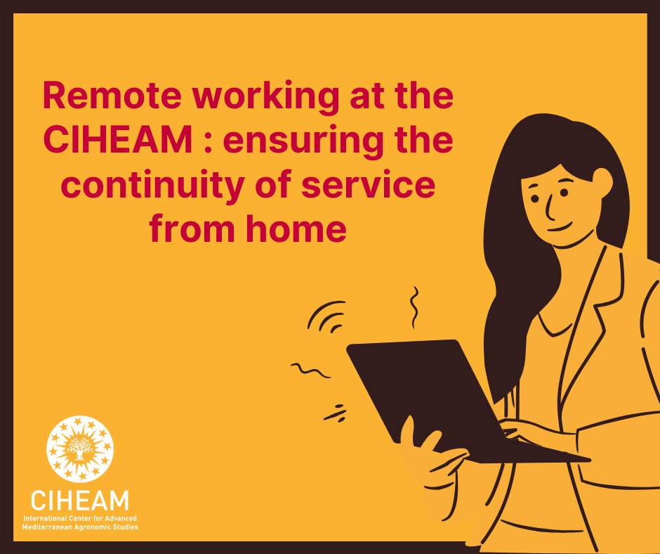 Remote working at the CIHEAM: ensuring the continuity of service from home