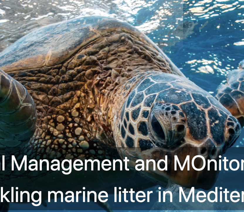 Coastal Management and Monitoring Network for tackling marine litter in the Mediterranean Sea