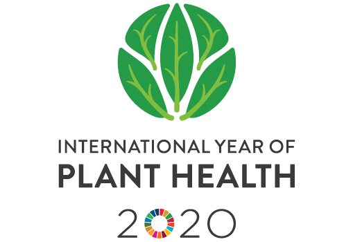 Plant Health Research Priorities for the Mediterranean Region
