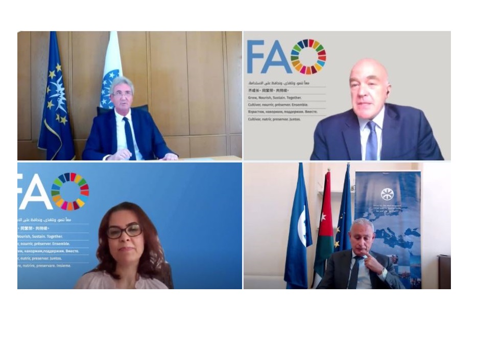 Towards a Mediterranean common vision for the sustainable food systems of tomorrow