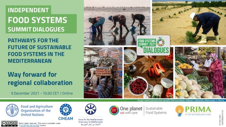 Future of sustainable food systems in the Mediterranean 🌍