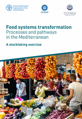 Transformation of Mediterranean Food Systems