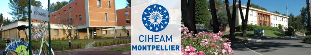 L’attribut alt de cette image est vide, son nom de fichier est Montpellier-1024x181.jpg.