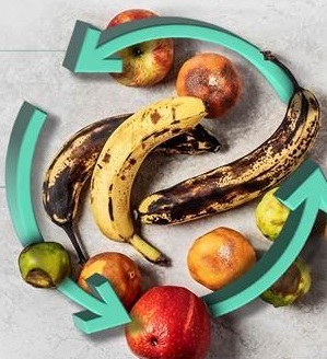 Food Waste management & circular economy