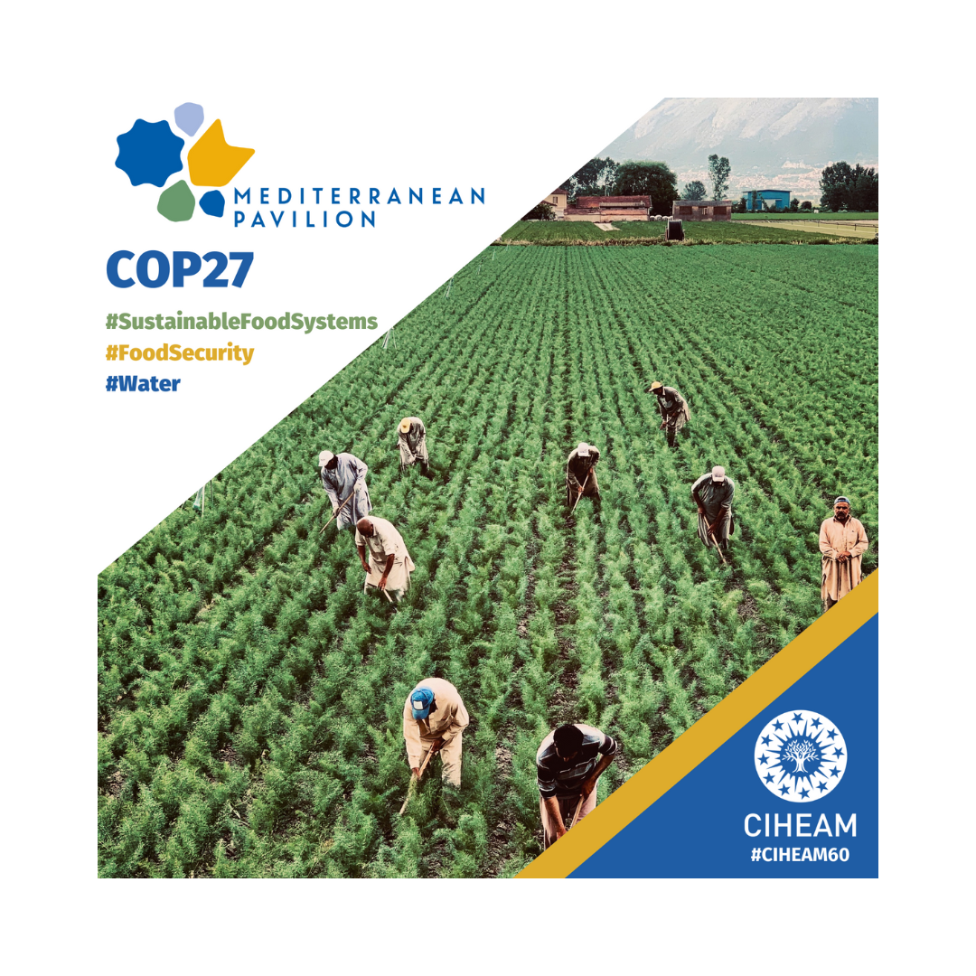 CIHEAM’s SIDE-EVENTS AT THE COP27