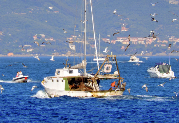 RAPPORT D’ACTIVITÉ DU CIHEAM SUR LA GESTION DES ZONES CÔTIÈRES ET PÊCHE