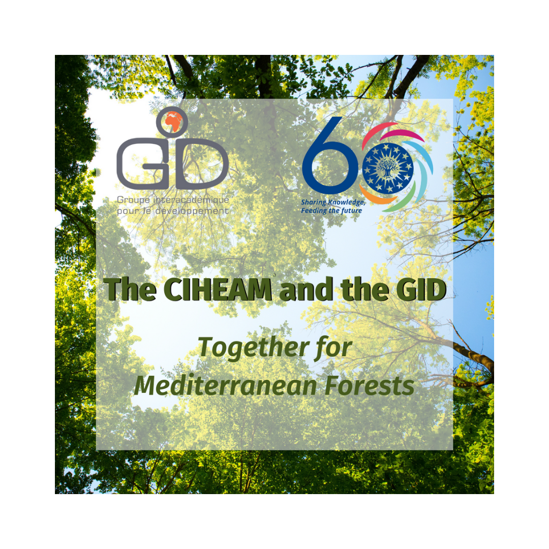 Preparation of the Conference on Mediterranean forests co-organized by the CIHEAM and the GID