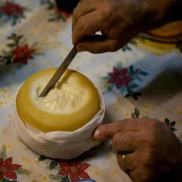 Biggest cheese festival in PORTUGAL CIHEAM