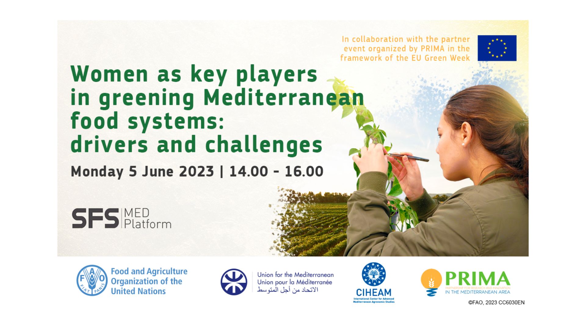 Webinar – Women as key players in greening Mediterranean food systems: drivers and challenges