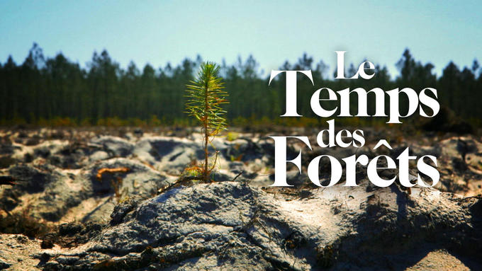 Le temps des FORÊTS - CIHEAM
