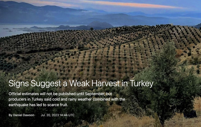 Weak Turkey Signs Suggest a Weak Harvest in TURKEY - CIHEAM