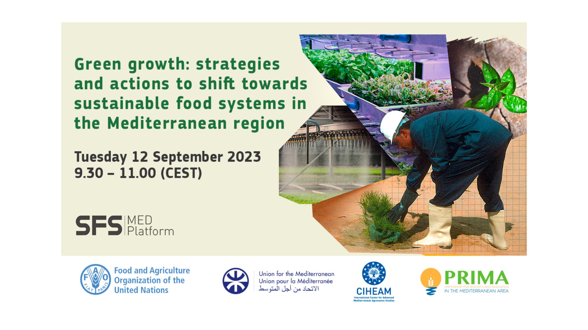 Webinar – Green growth: Strategies and Actions to shift towards Sustainable Food Systems in the Mediterranean Region