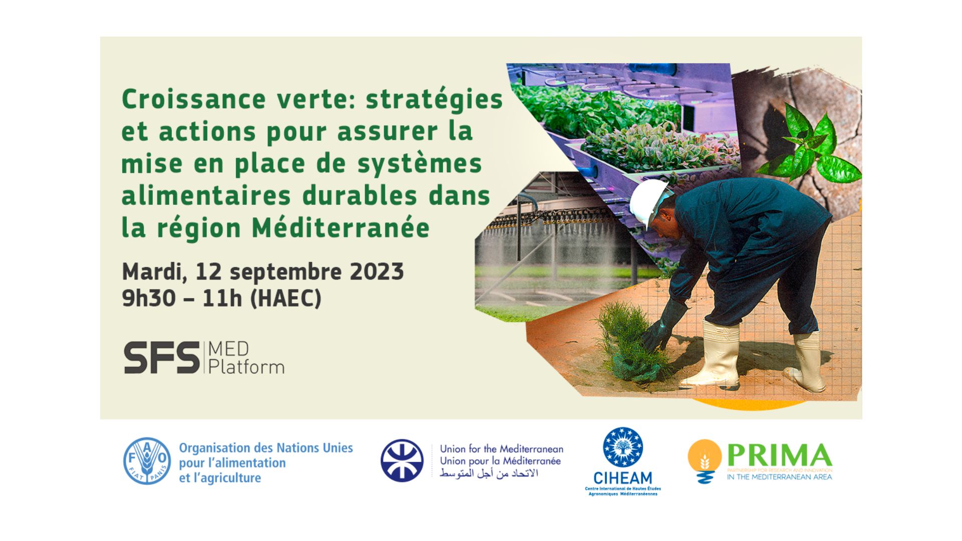Webinaire – Croissance verte : Stratégies et actions pour assurer la mise en place de systèmes alimentaires durables dans la région Méditerranée