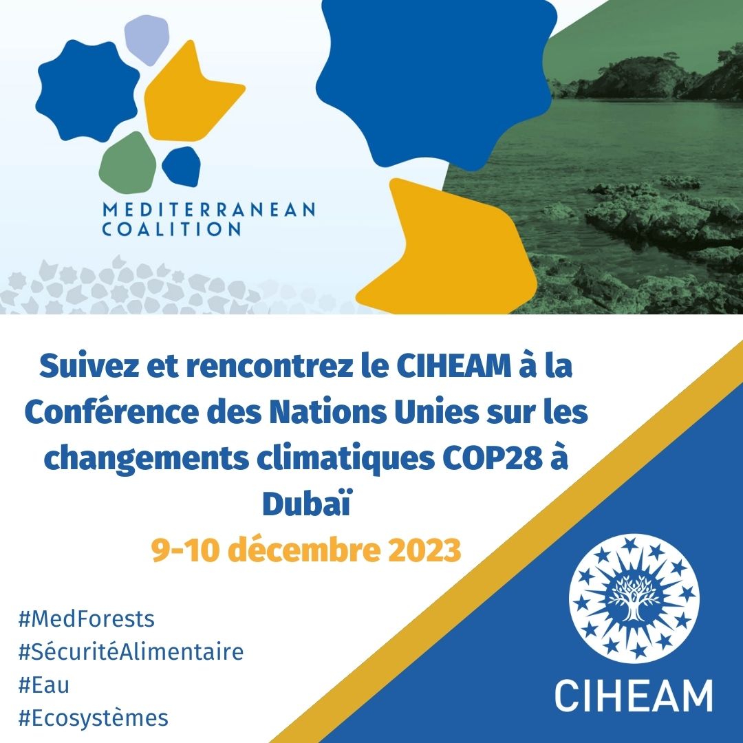 COP 28 #CoalitionMéditerranéenne