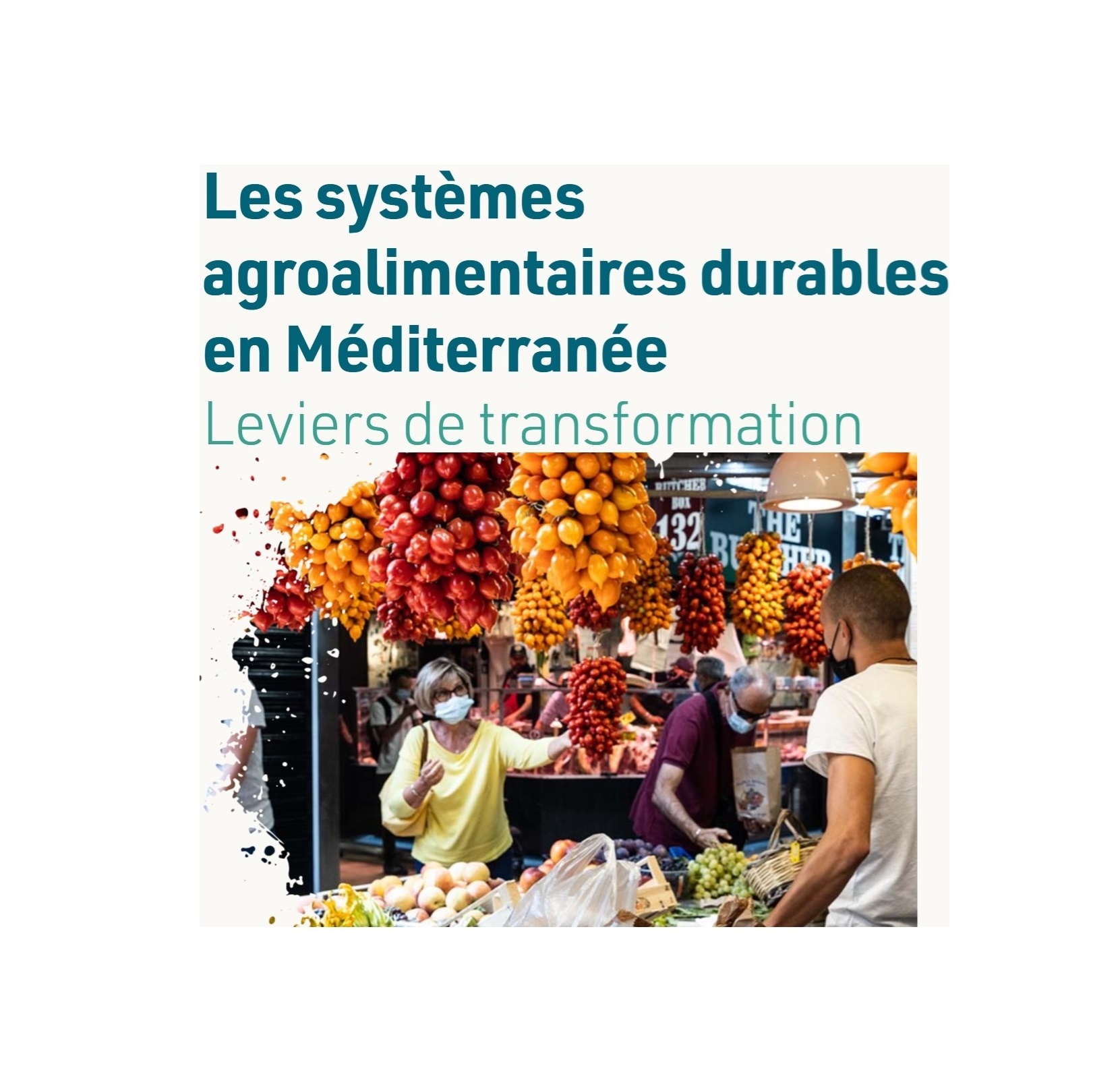 #SFS-MED: EXPLORING THE LEVERS FOR TRANSFORMING AGRI-FOOD SYSTEMS