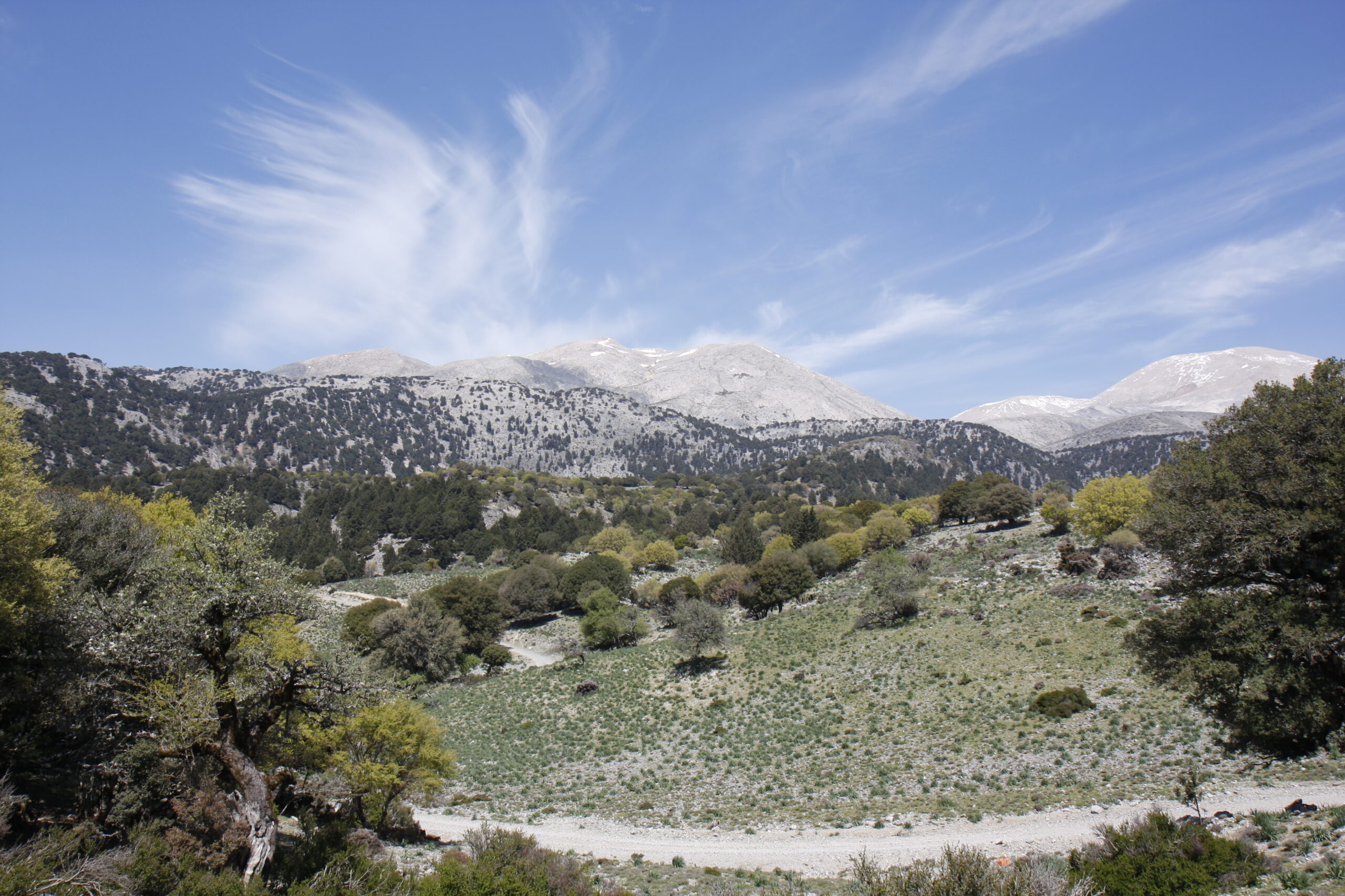 Restoring the Resilience of Mediterranean landscapes to wildfires
