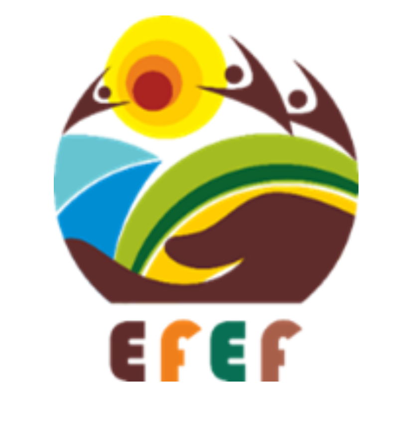 EFEF-PLUS