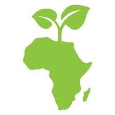 HEALTHY FOOD AFRICA