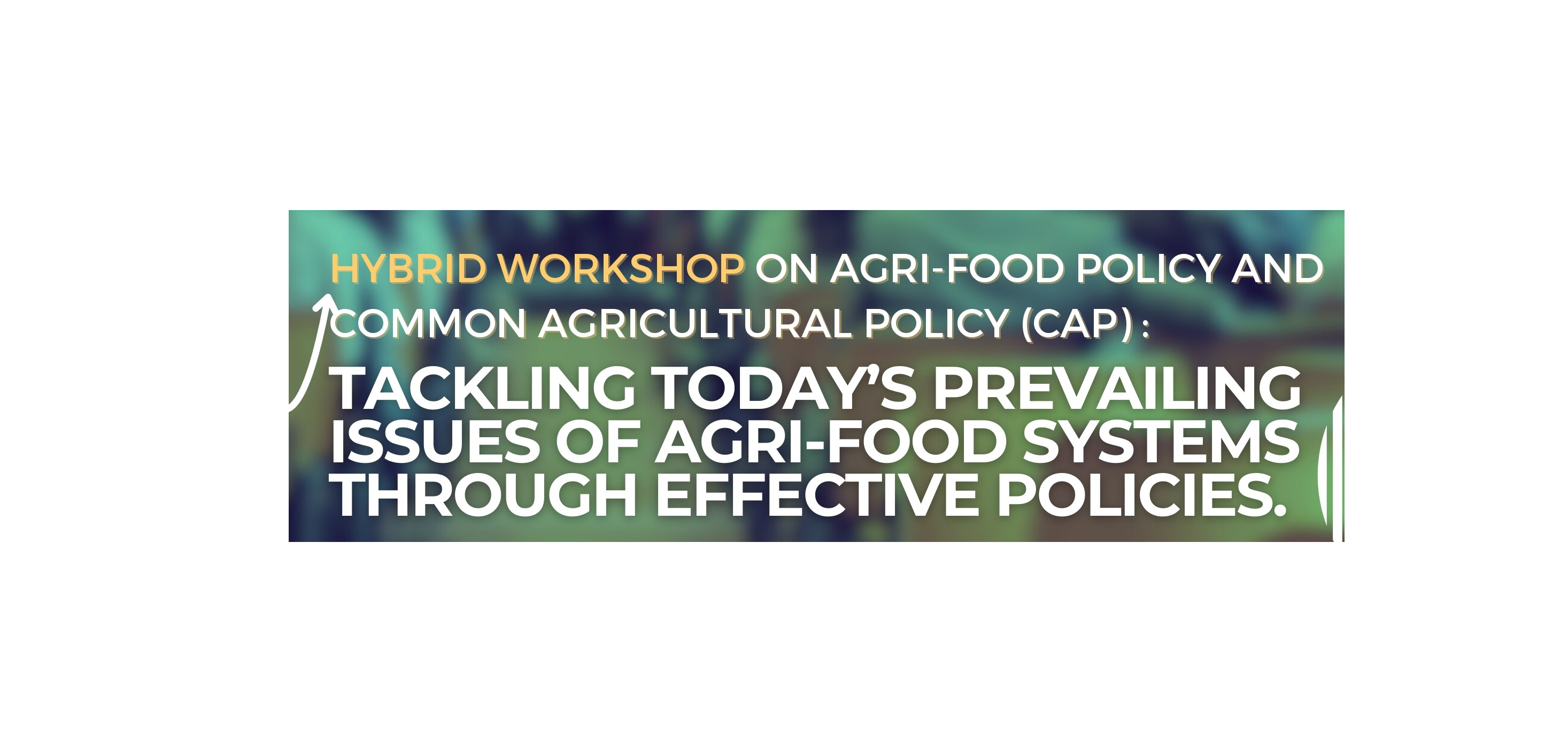 WORKSHOP ON AGRI-FOOD POLICY AND THE CAP