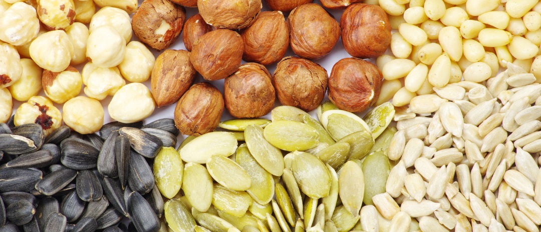 FIRST “GREEN” BIOCLIMATIC SEED BANK IN THE MEDITERRANEAN
