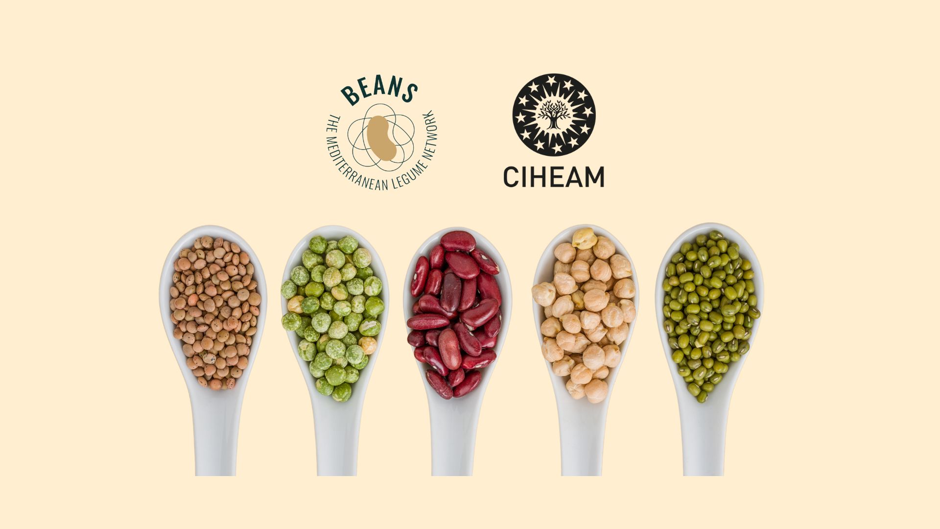 BEANS