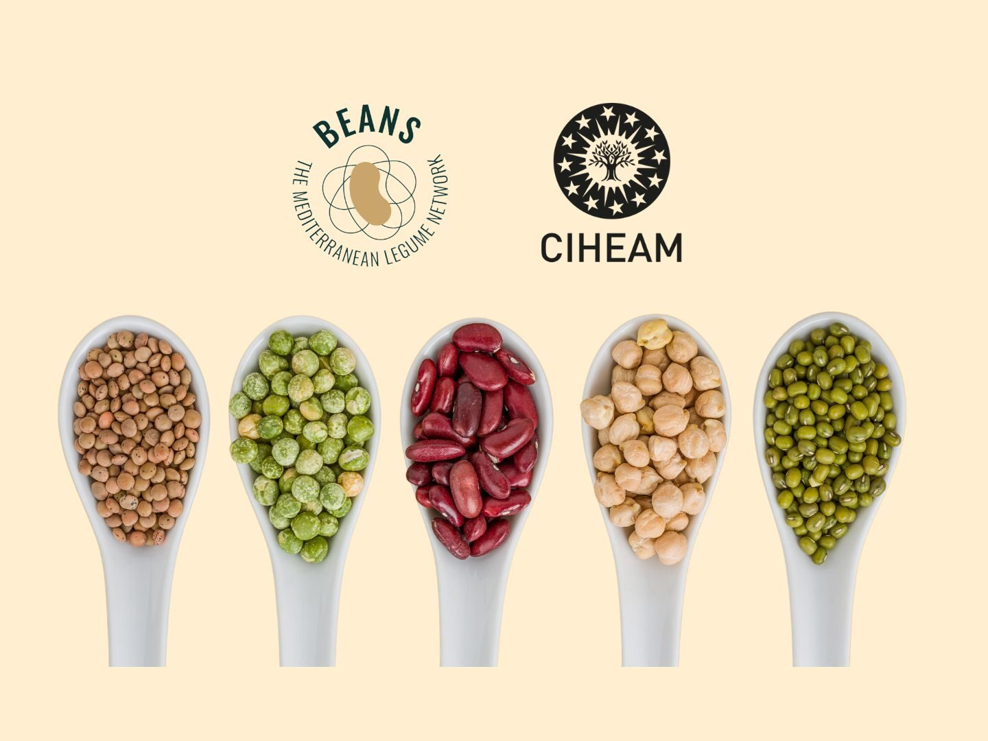BEANS