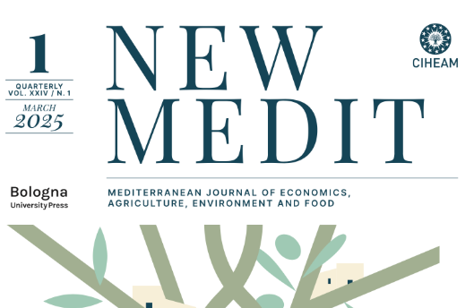 NewMedit 2025