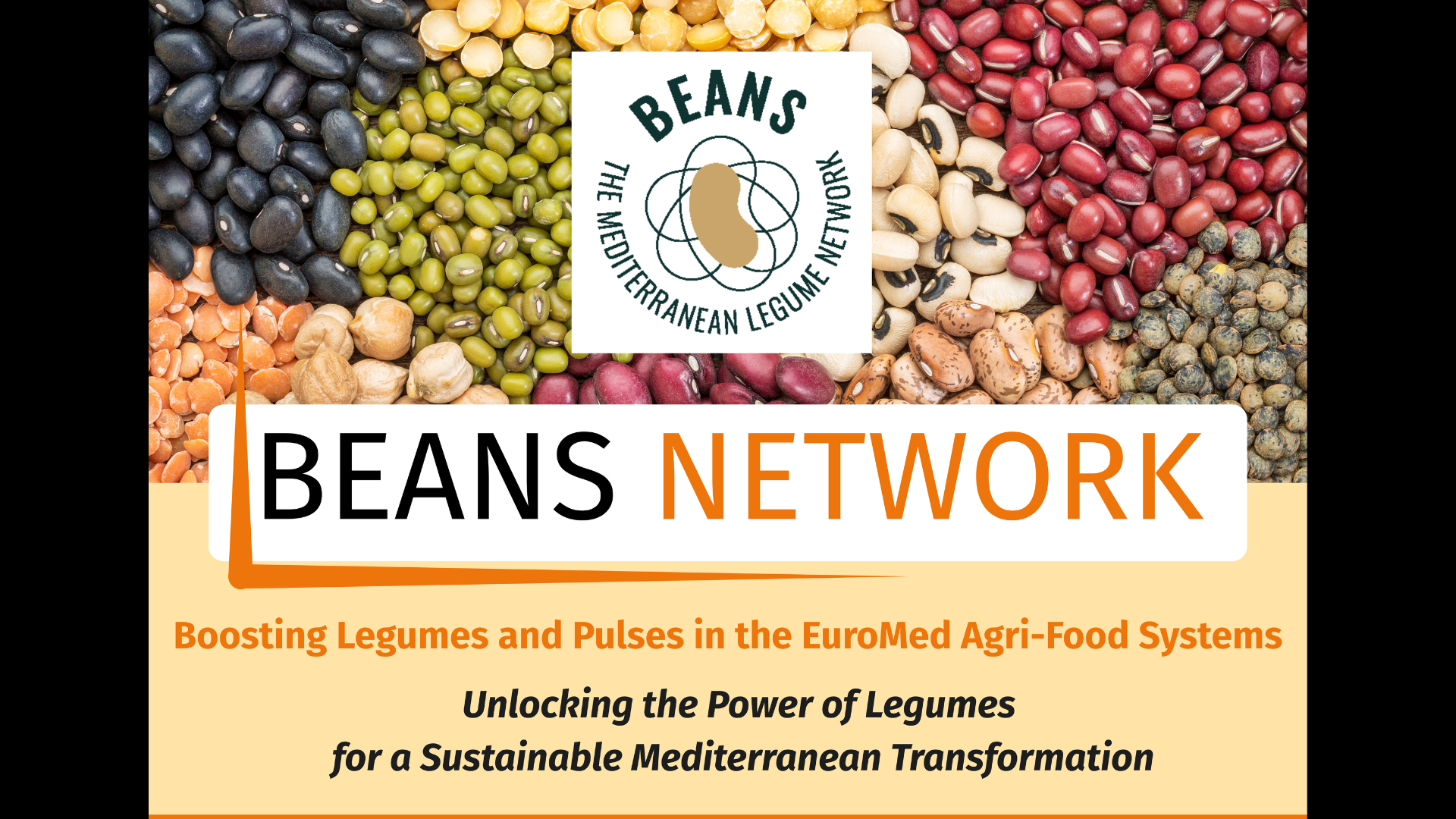 BEANS Network on posters