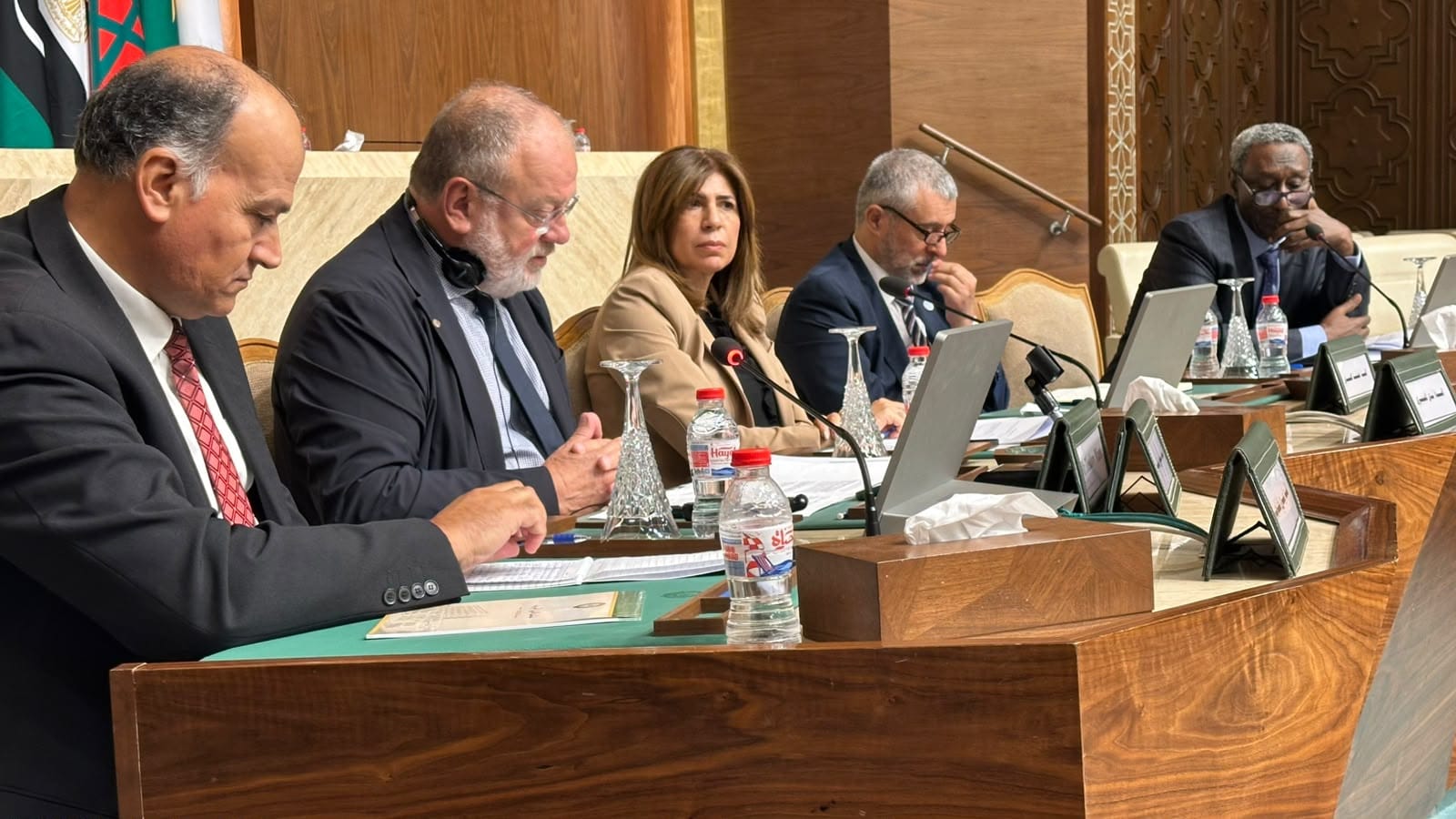 Arab Food and Water Security